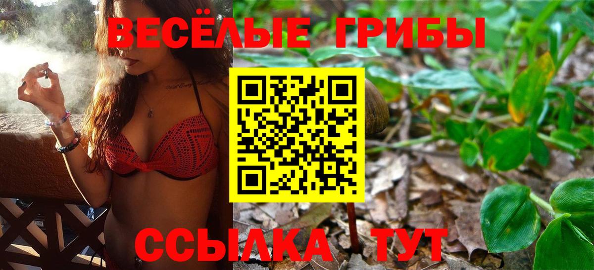 Россия  Псилоцибиновые грибы GOLDEN TEACHER  Вход с VPN 